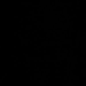 Meet your Posher, Sasha